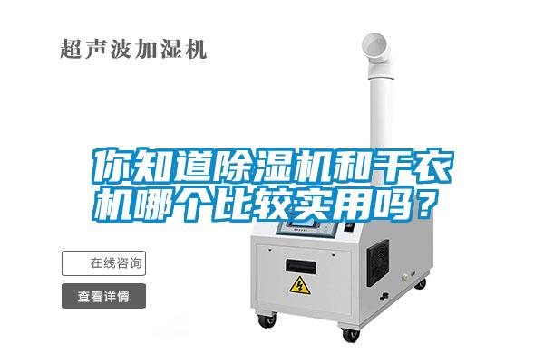 你知道除濕機(jī)和干衣機(jī)哪個比較實(shí)用嗎<div   id=