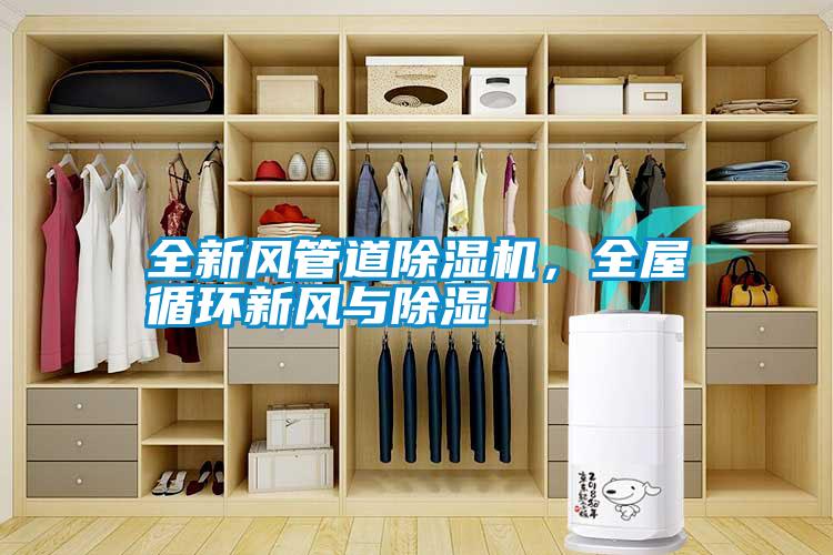 全新風(fēng)管道除濕機(jī)<div   id=