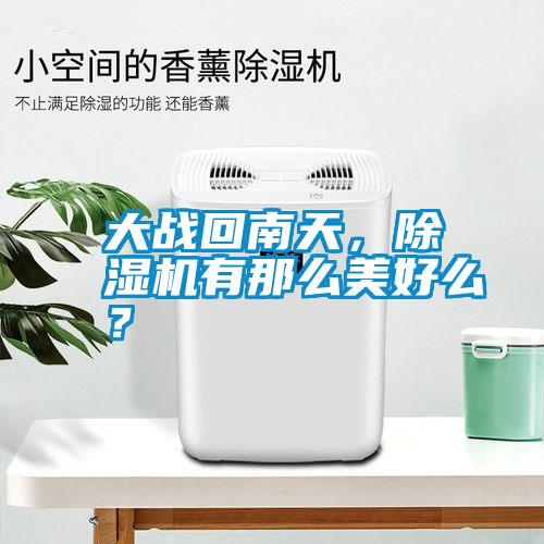 大戰(zhàn)回南天，除濕機(jī)有那么美好么<div   id=