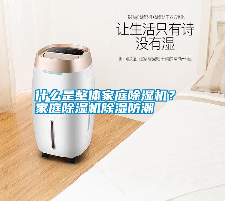 什么是整體家庭除濕機(jī)? 家庭除濕機(jī)除濕防潮