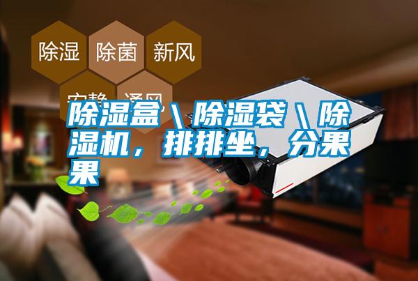 除濕盒＼除濕袋＼除濕機(jī)<div   id=