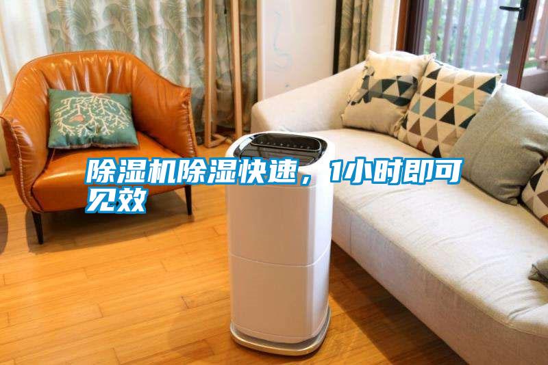 除濕機(jī)除濕快速<div   id=