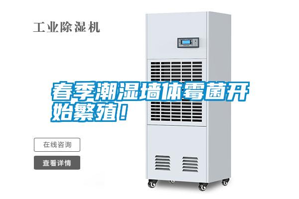 春季潮濕墻體霉菌開始繁殖<div   id=