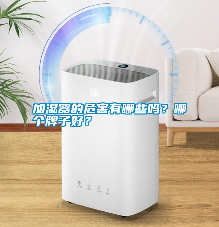 加濕器的危害有哪些嗎？哪個牌子好<div   id=