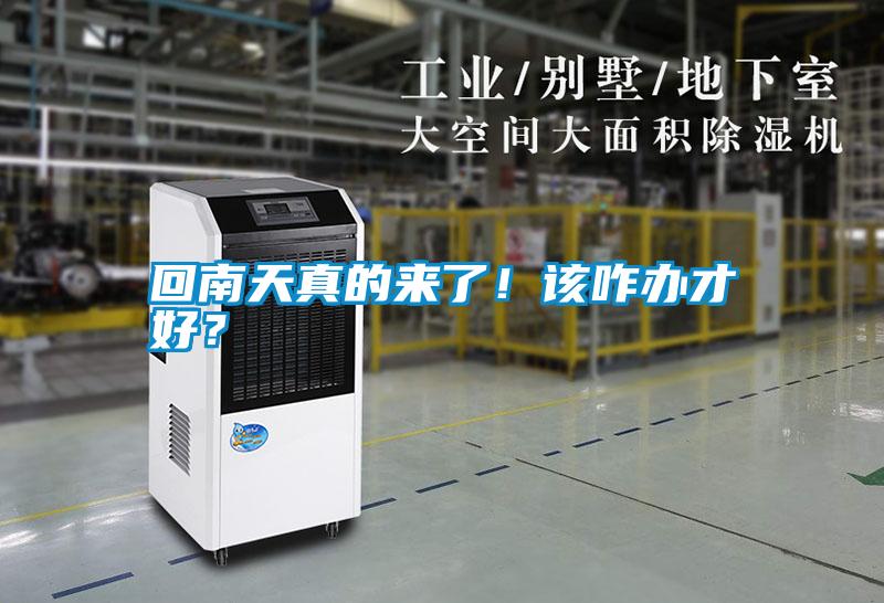 回南天真的來了<div   id=