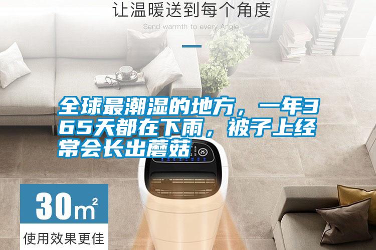 全球最潮濕的地方，一年365天都在下雨<div   id=