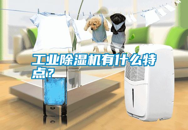 工業(yè)除濕機有什么特點<div   id=