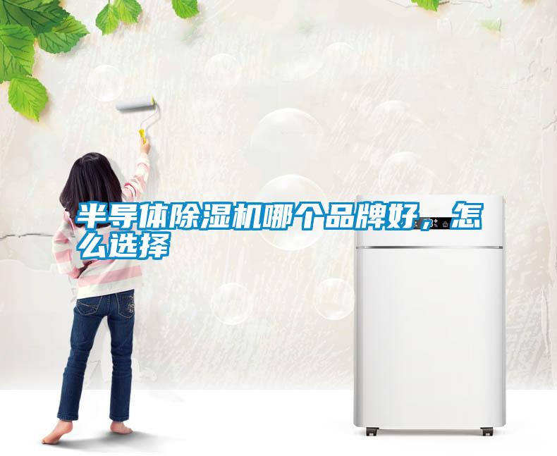 半導(dǎo)體除濕機(jī)哪個(gè)品牌好<div   id=