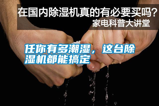 任你有多潮濕<div   id=