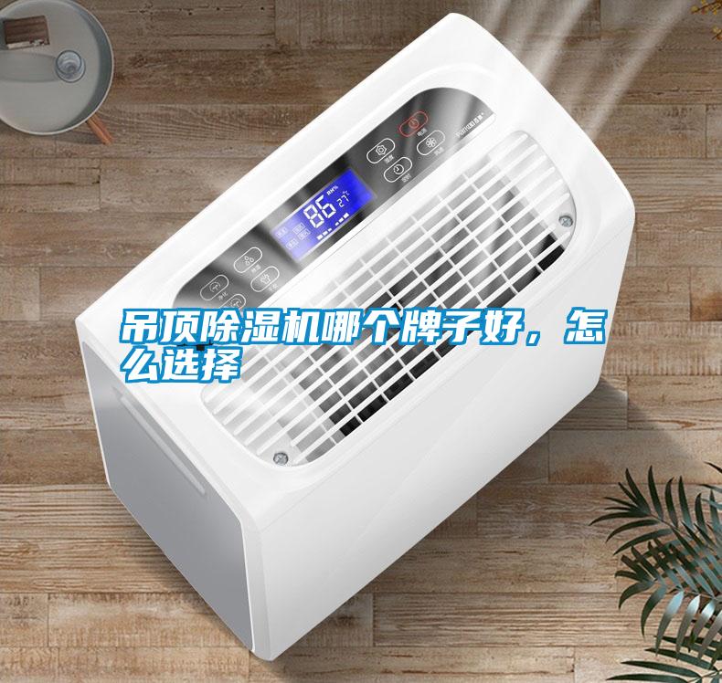 吊頂除濕機哪個牌子好<div   id=