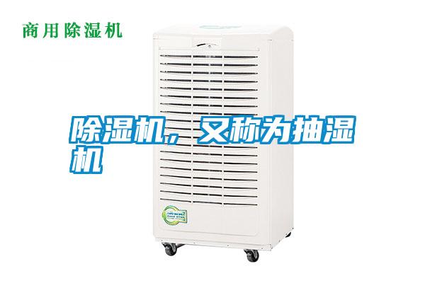 除濕機<div   id=