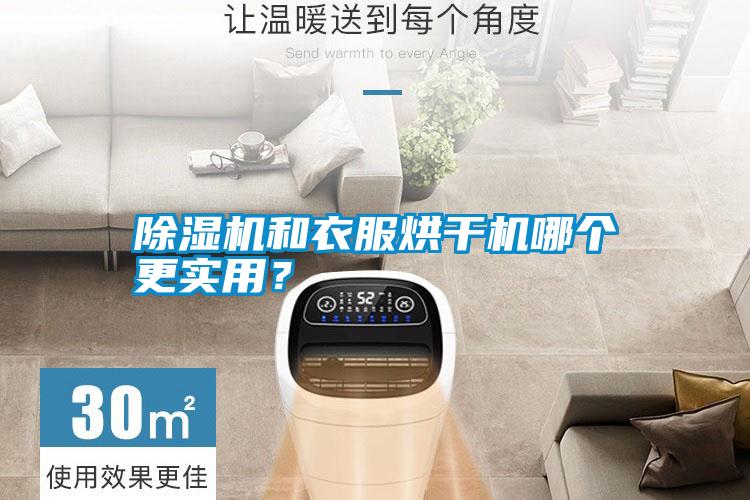 除濕機(jī)和衣服烘干機(jī)哪個更實用<div   id=
