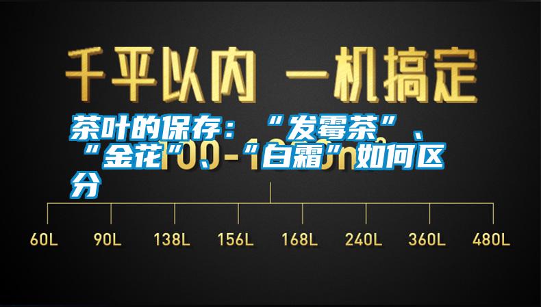 茶葉的保存：“發(fā)霉茶”、“金花”<div   id=
