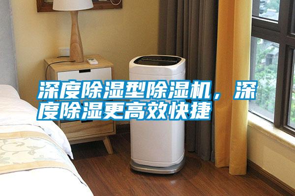 深度除濕型除濕機(jī)<div   id=