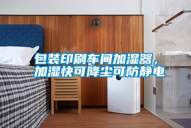 包裝印刷車間加濕器<div   id=