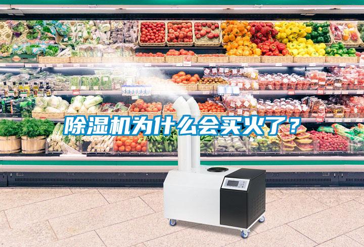 除濕機為什么會買火了<div   id=