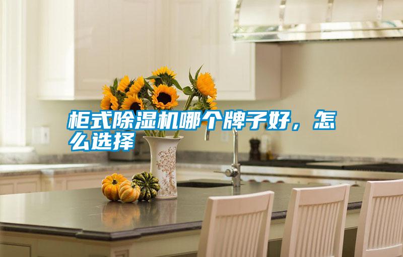 柜式除濕機(jī)哪個(gè)牌子好<div   id=