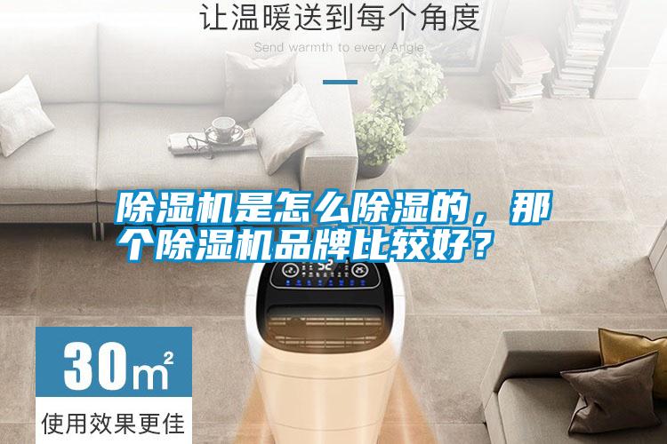 除濕機(jī)是怎么除濕的，那個(gè)除濕機(jī)品牌比較好<div   id=