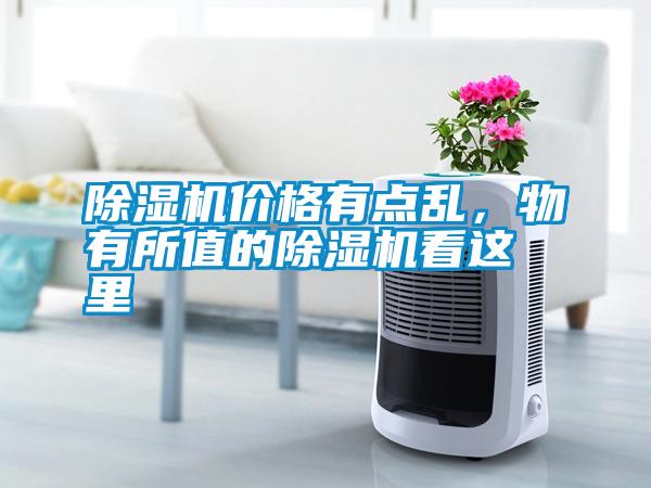 除濕機(jī)價(jià)格有點(diǎn)亂<div   id=