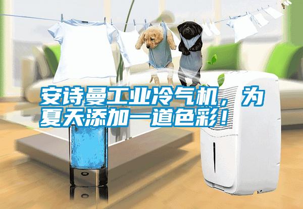 安詩曼工業(yè)冷氣機(jī)<div   id=