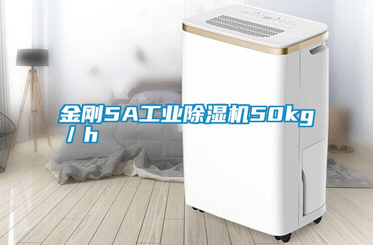 金剛5A工業(yè)除濕機(jī)50kg/h