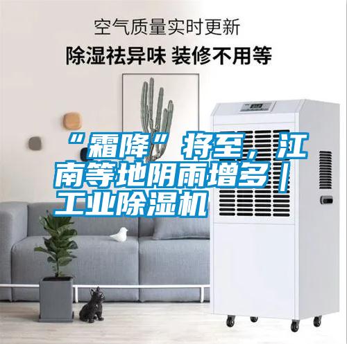 “霜降”將至,江南等地陰雨增多|工業(yè)除濕機(jī)