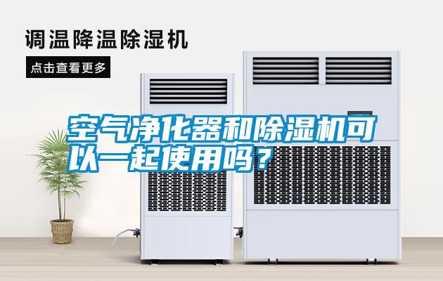 空氣凈化器和除濕機(jī)可以一起使用嗎?