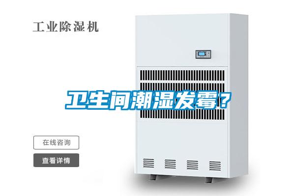 衛(wèi)生間潮濕發(fā)霉<div   id=