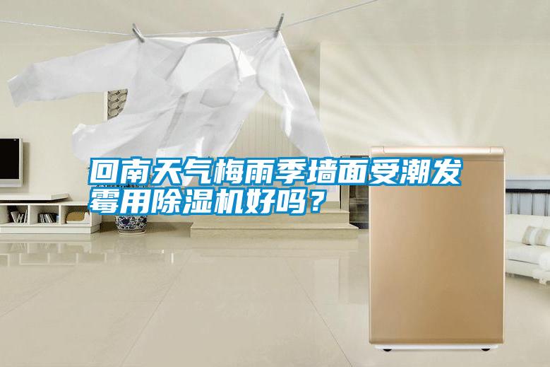 回南天氣梅雨季墻面受潮發(fā)霉用除濕機好嗎<div   id=