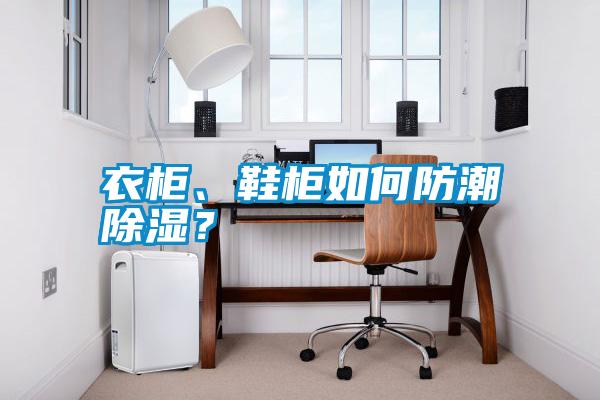 衣柜、鞋柜如何防潮除濕<div   id=