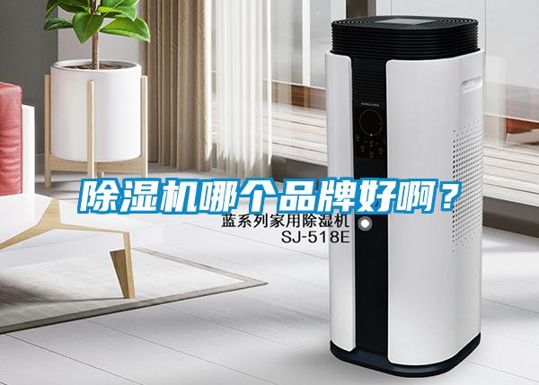 除濕機(jī)哪個(gè)品牌好啊<div   id=