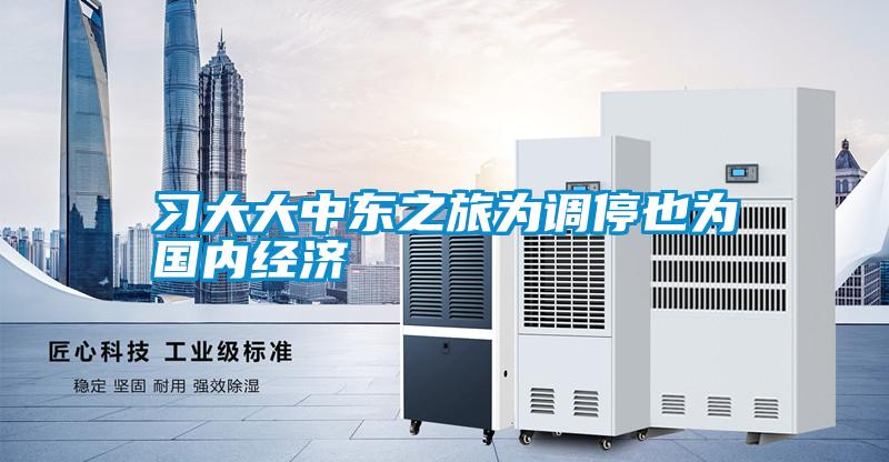 習大大中東之旅為調停也為國內(nèi)經(jīng)濟