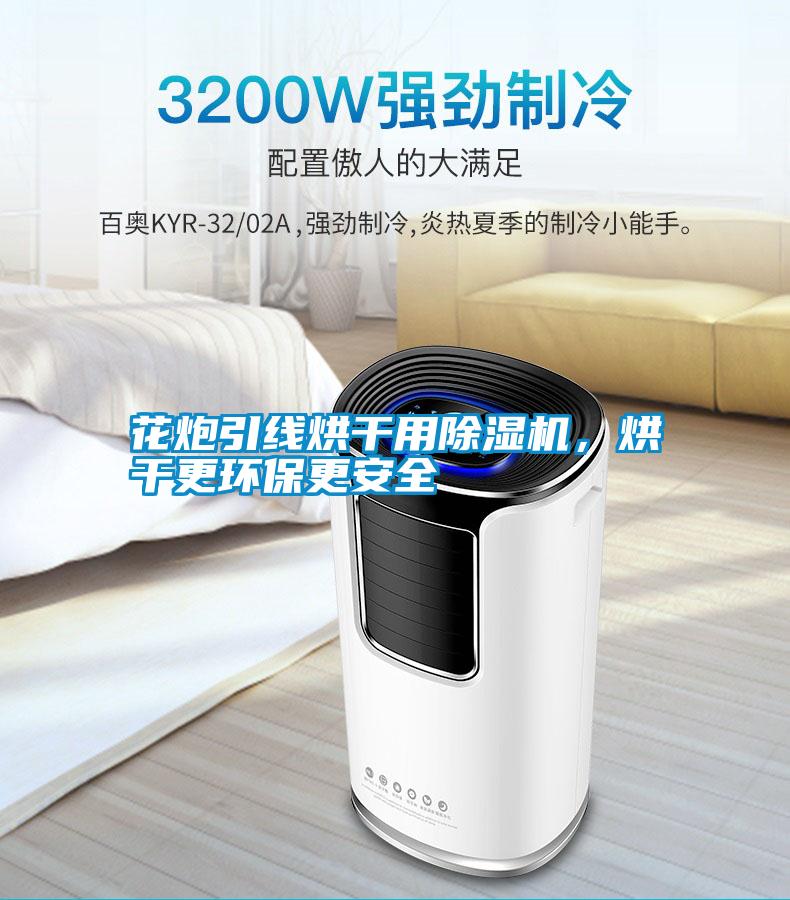 花炮引線烘干用除濕機(jī)<div   id=