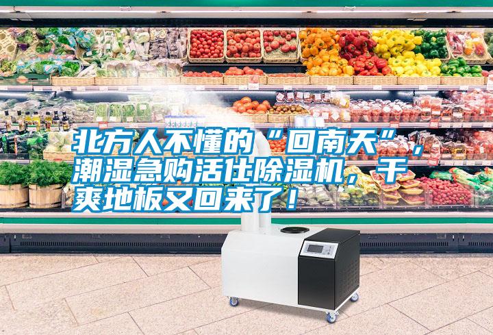 北方人不懂的“回南天”，潮濕急購活仕除濕機<div   id=