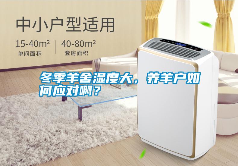 冬季羊舍濕度大<div   id=