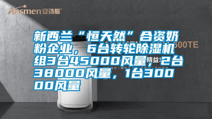 新西蘭“恒天然”合資奶粉企業(yè)，6臺(tái)轉(zhuǎn)輪除濕機(jī)組3臺(tái)45000風(fēng)量<div   id=