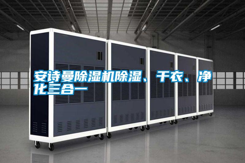 安詩(shī)曼除濕機(jī)除濕、干衣<div   id=
