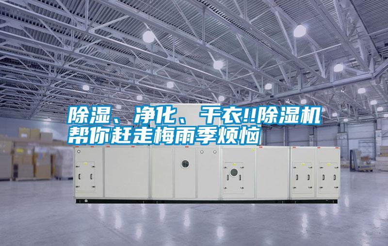 除濕、凈化<div   id=