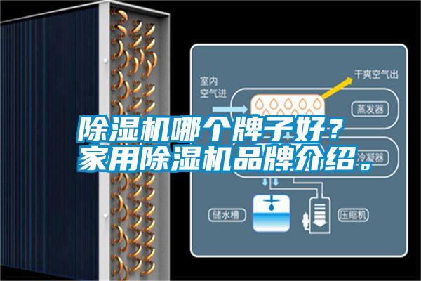 除濕機(jī)哪個(gè)牌子好<div   id=