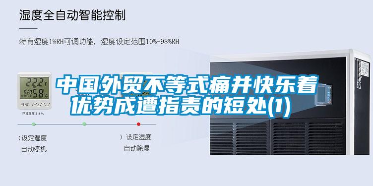 中國外貿(mào)不等式痛并快樂著 優(yōu)勢(shì)成遭指責(zé)的短處(1)