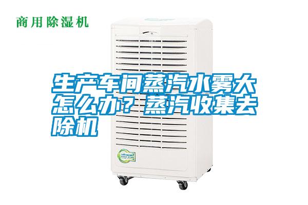 生產(chǎn)車間蒸汽水霧大怎么辦<div   id=