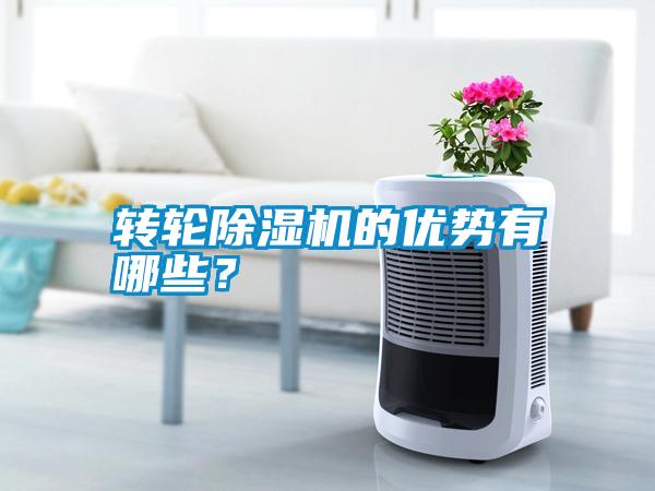 轉(zhuǎn)輪除濕機(jī)的優(yōu)勢有哪些<div   id=