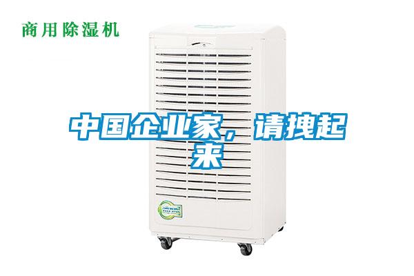 中國企業(yè)家<div   id=
