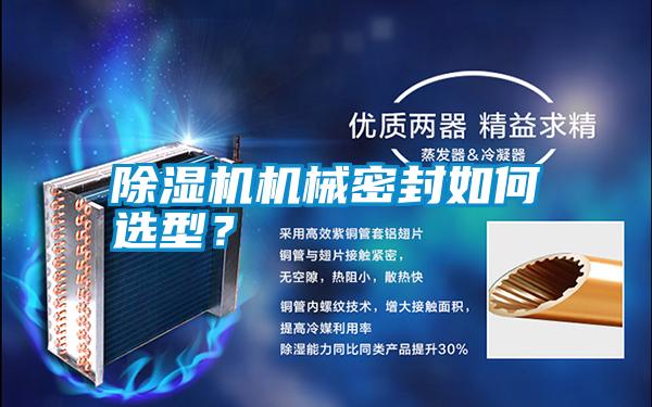 除濕機機械密封如何選型<div   id=