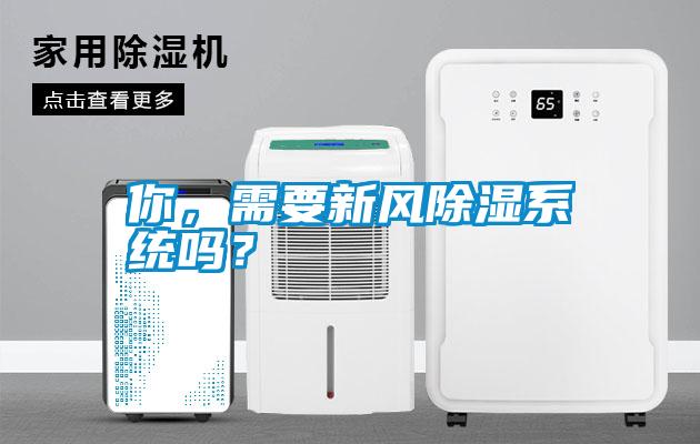 你，需要新風(fēng)除濕系統(tǒng)嗎<div   id=