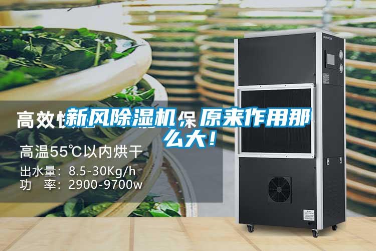 新風(fēng)除濕機(jī)，原來(lái)作用那么大<div   id=