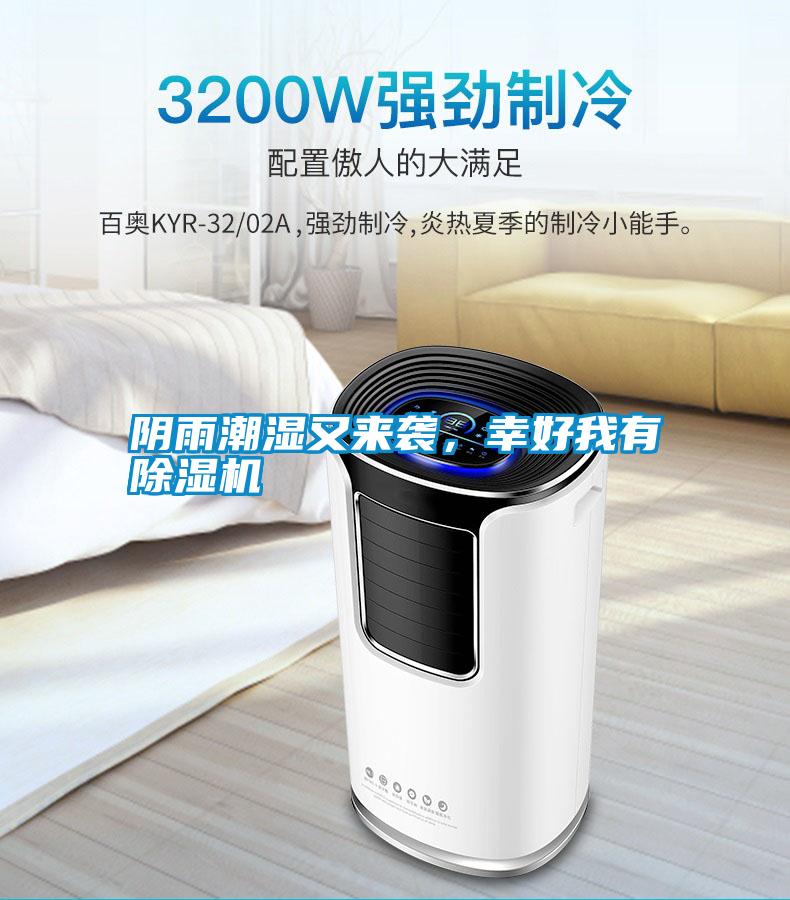 陰雨潮濕又來襲,幸好我有除濕機