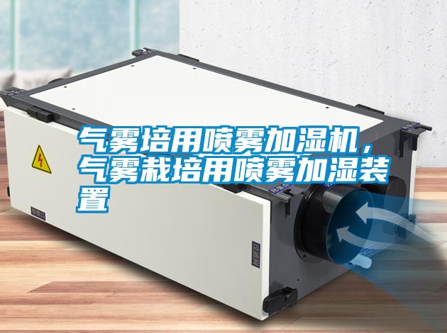 氣霧培用噴霧加濕機(jī)<div   id=