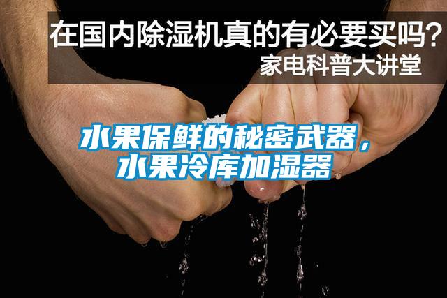 水果保鮮的秘密武器,水果冷庫加濕器
