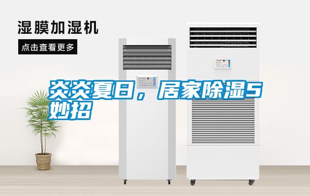 炎炎夏日<div   id=
